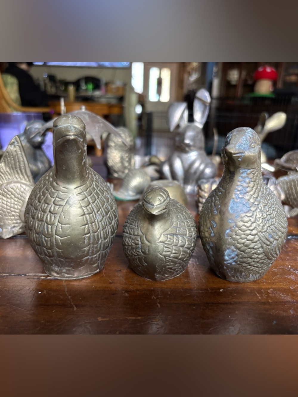 3 brass quails family mom and dad and baby